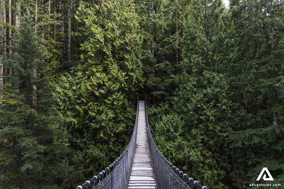 suspended bridge in a forest in canada