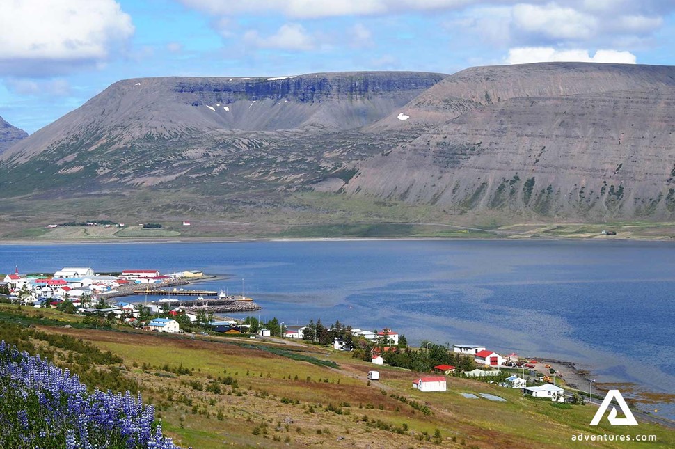 aerial view of thingeyri town in the westfjords
