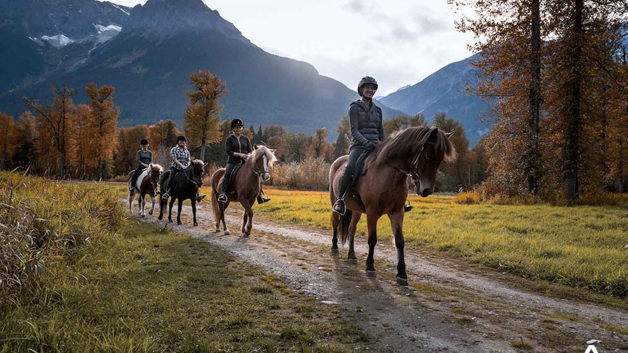Horse riding tour in mountains
