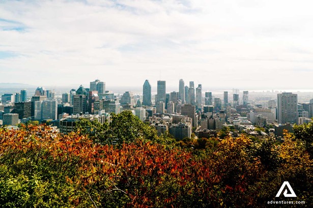 autumn colors with montreal city in the background