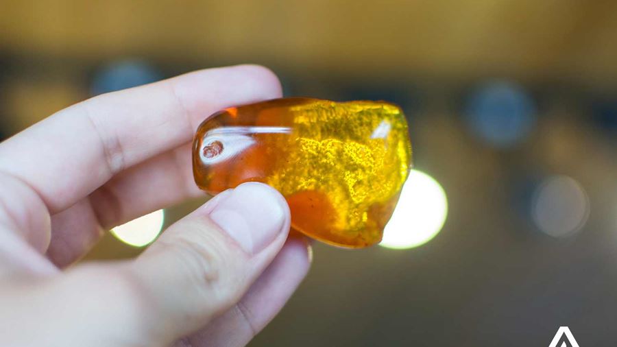 large piece of amber in hand 
