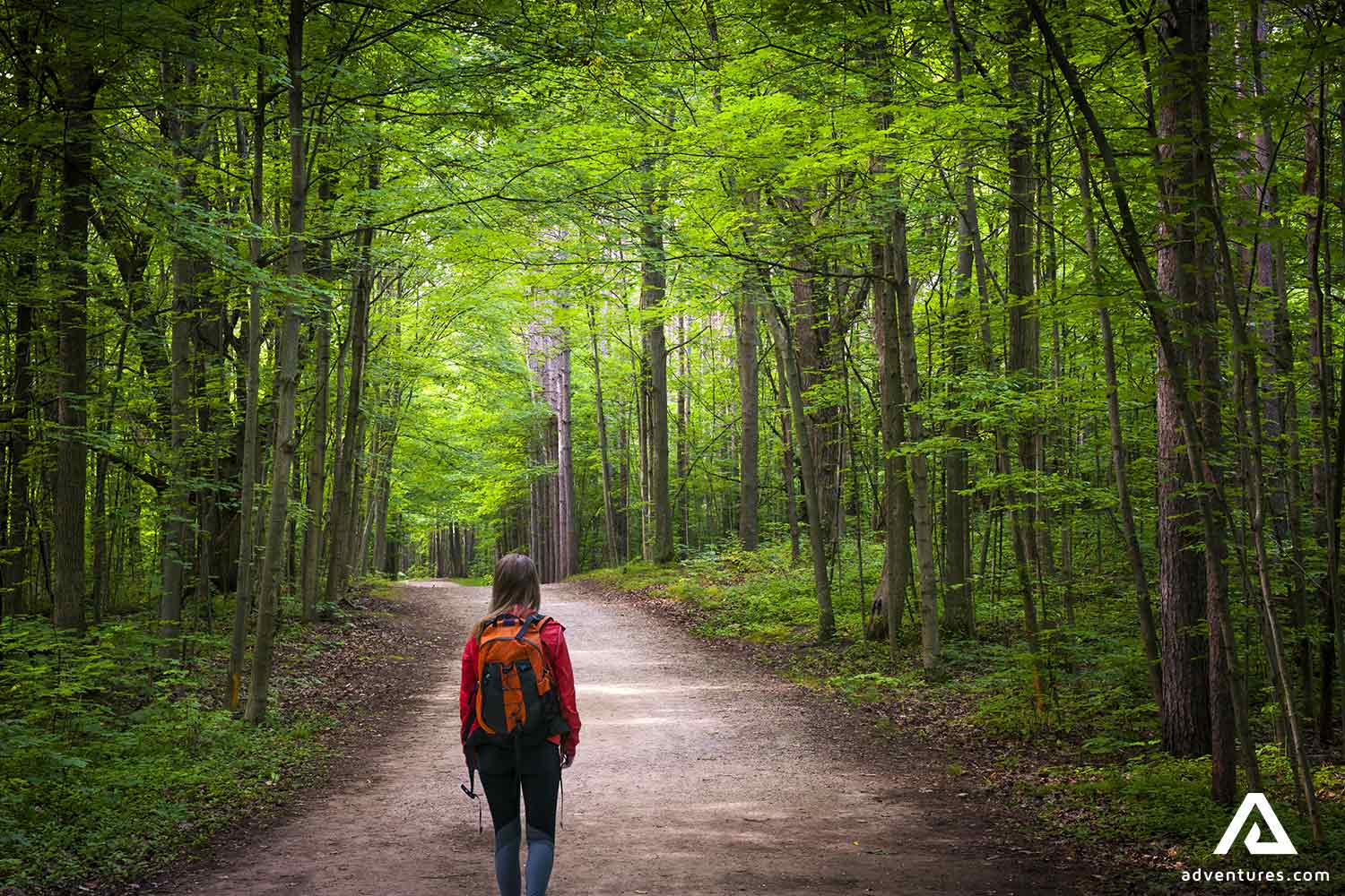 woman hiking a forest path with large trees