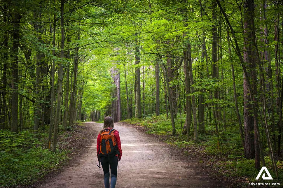 woman hiking a forest path with large trees