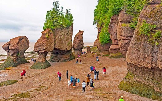 Best of Bay of Fundy with Hopewell Rocks
