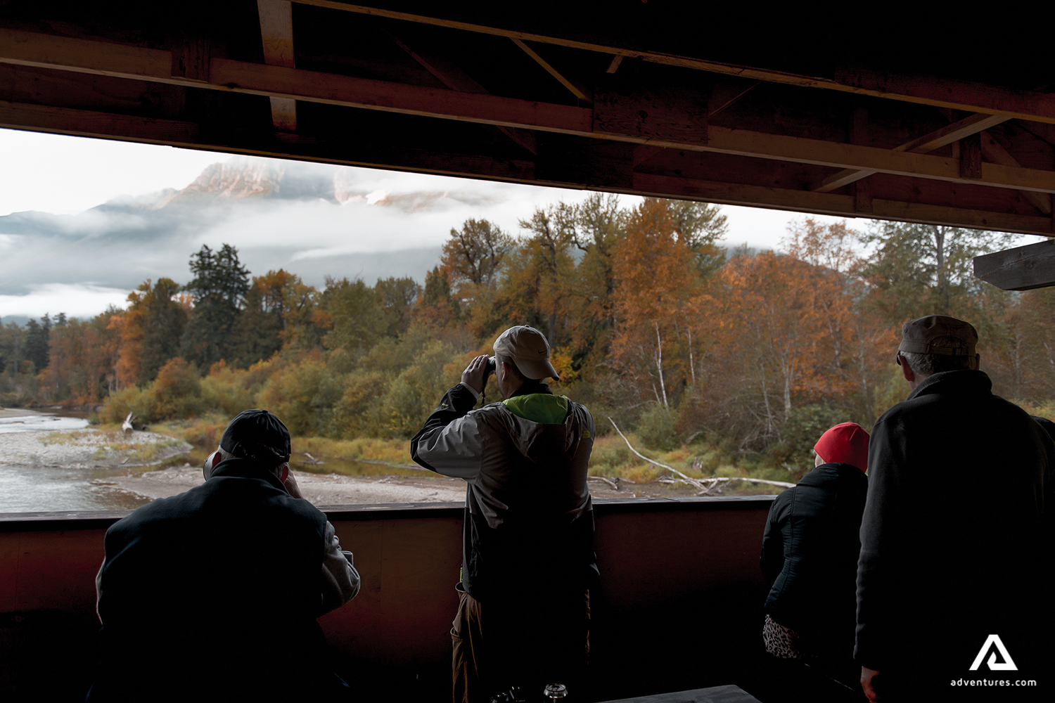 Watching wildlife with Binoculars