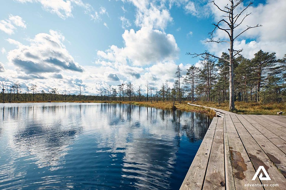 wooden path in lahemaa national park in estonia