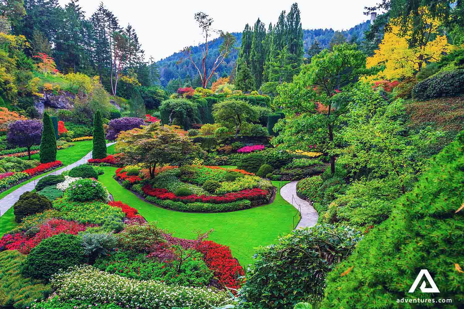 colorful garden in Butchart Gardens at summer in canada