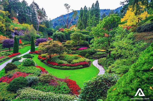 colorful garden in Butchart Gardens at summer in canada