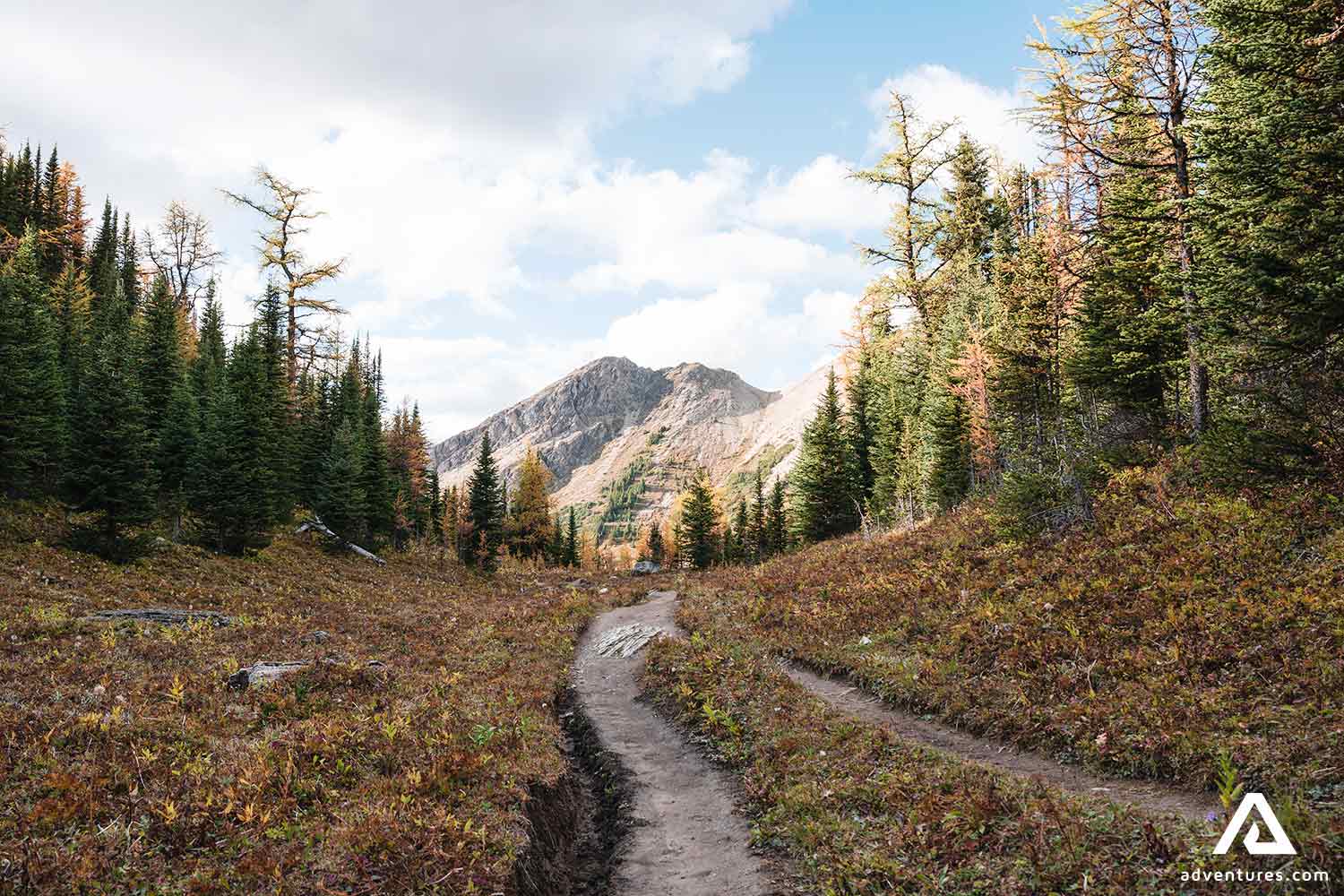 narrow hiking paths in canadian rockies in canada