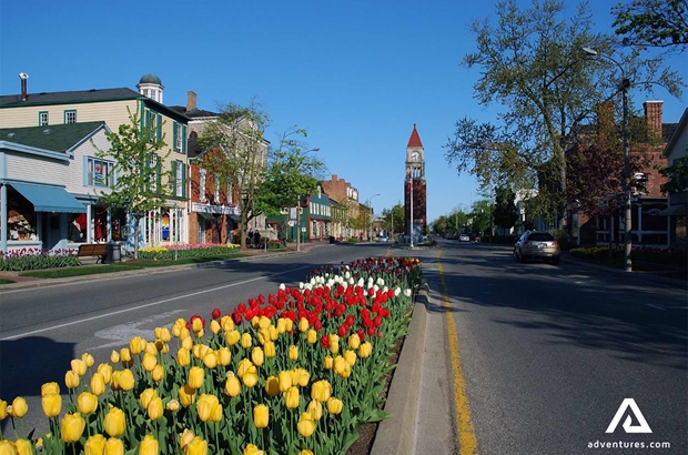  Town View Colourful Tulips in summer