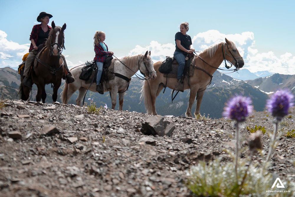 Family on a horse riding tour