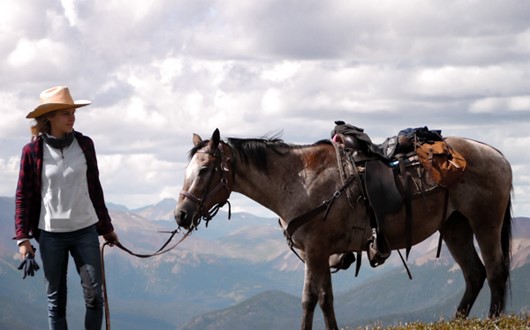 Wildlife Tracking Horse Pack Trips In The Chilcotin Mountains