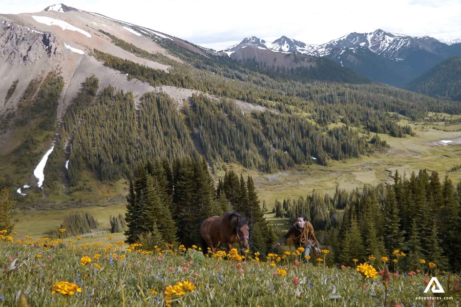 Riding horses in mountains