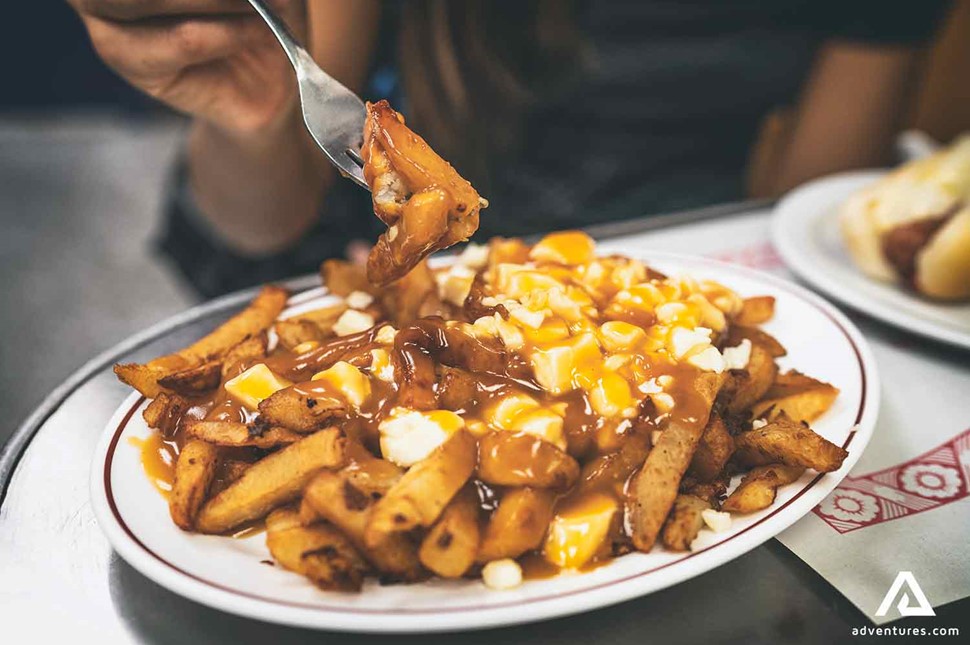 tasty looking poutine dish
