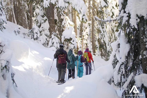 small group snowshoeing in canada at winter