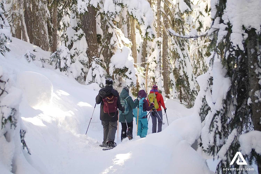 small group snowshoeing in canada