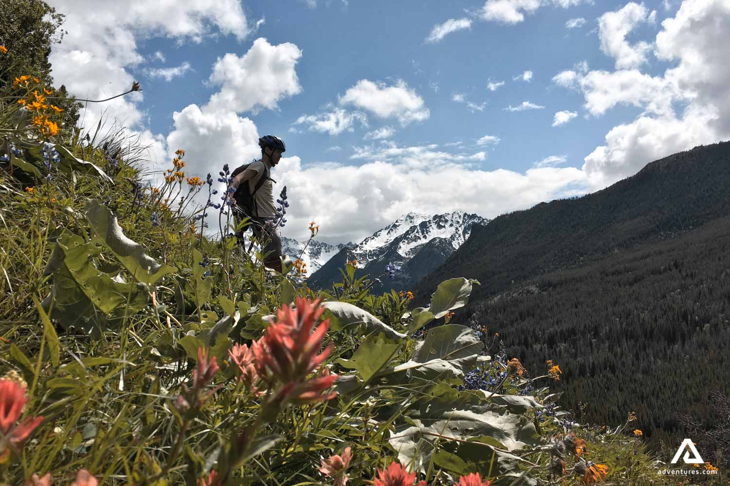 Mountain biking in Canada