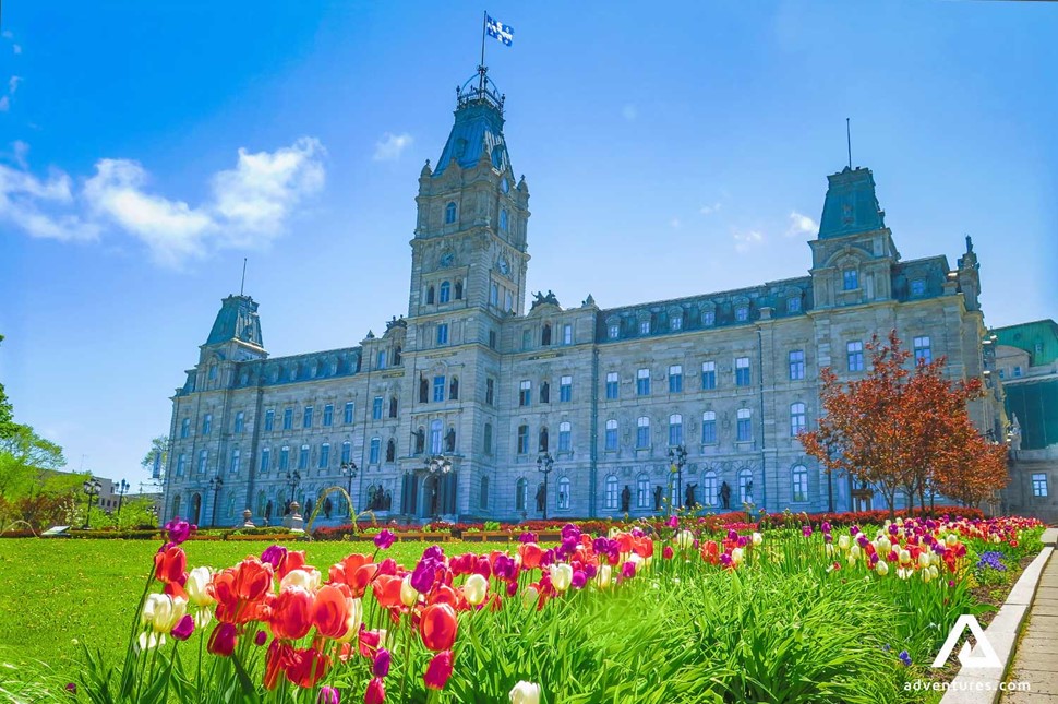 tulips growing near parliament building in quebec city