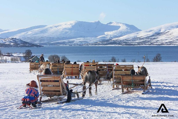 group waiting for a dog sledding tour to start in norway