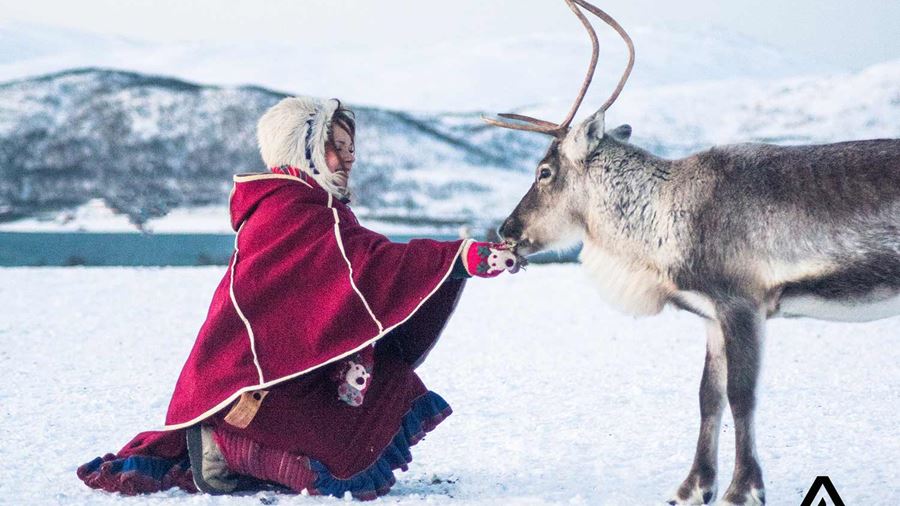 woman feeding a reindeer
