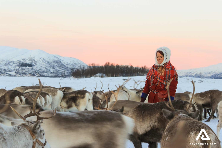 woman walking near herd of reindeers
