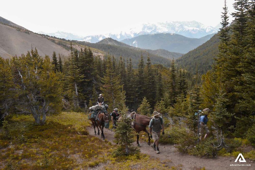 Hiking with horses in Canada