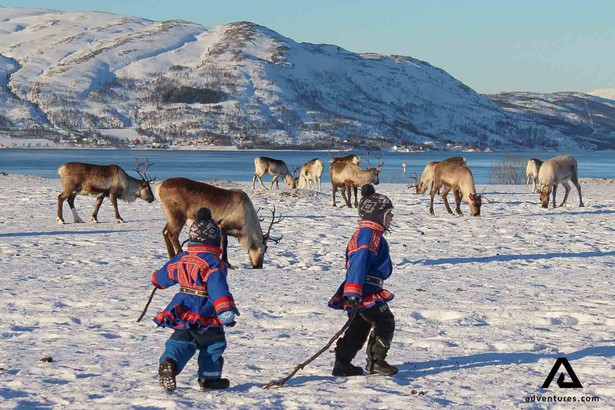 sami children running around reindeers in norway