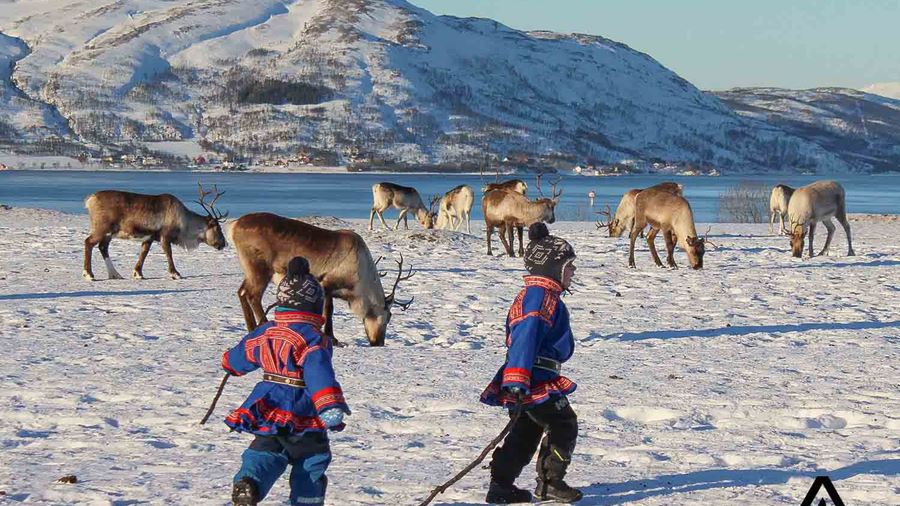 children running around reindeers