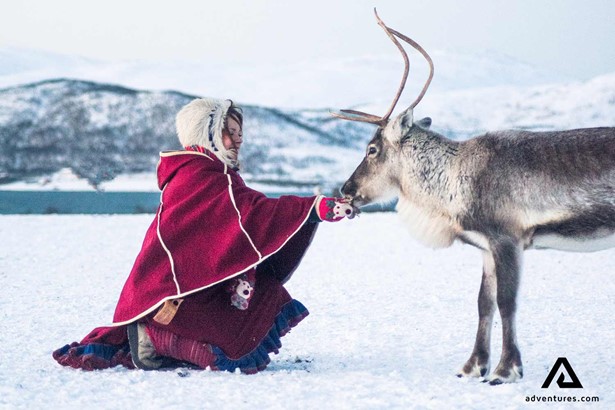 sami culture woman petting a reindeer in norway