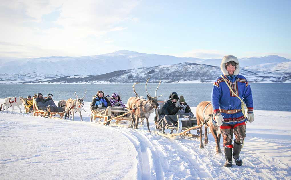 Short Reindeer Sledding, Feeding and Sami Culture