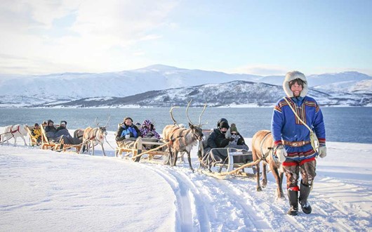 Short Reindeer Sledding, Feeding and Sami Culture