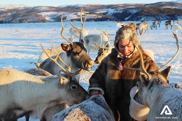 woman in a fur coat petting reindeers in norway
