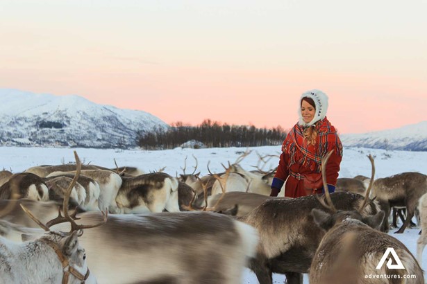 smiling woman near reindeers in norway