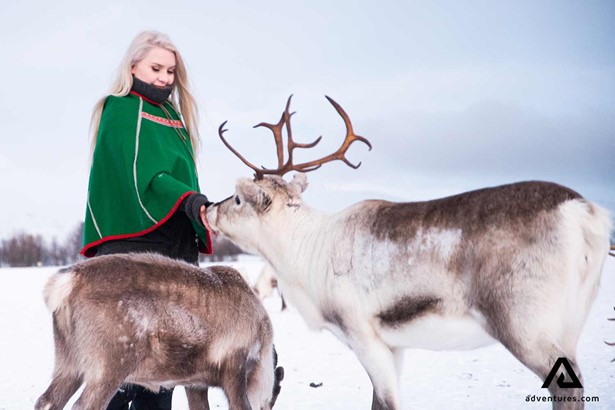 woman petting a reindeer in norway