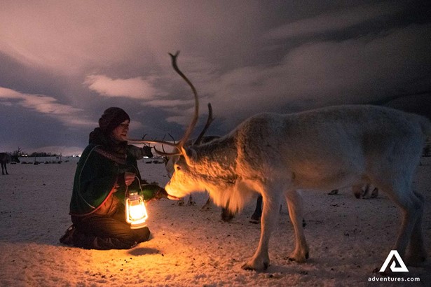 woman holding a lamp and petting a reindeer