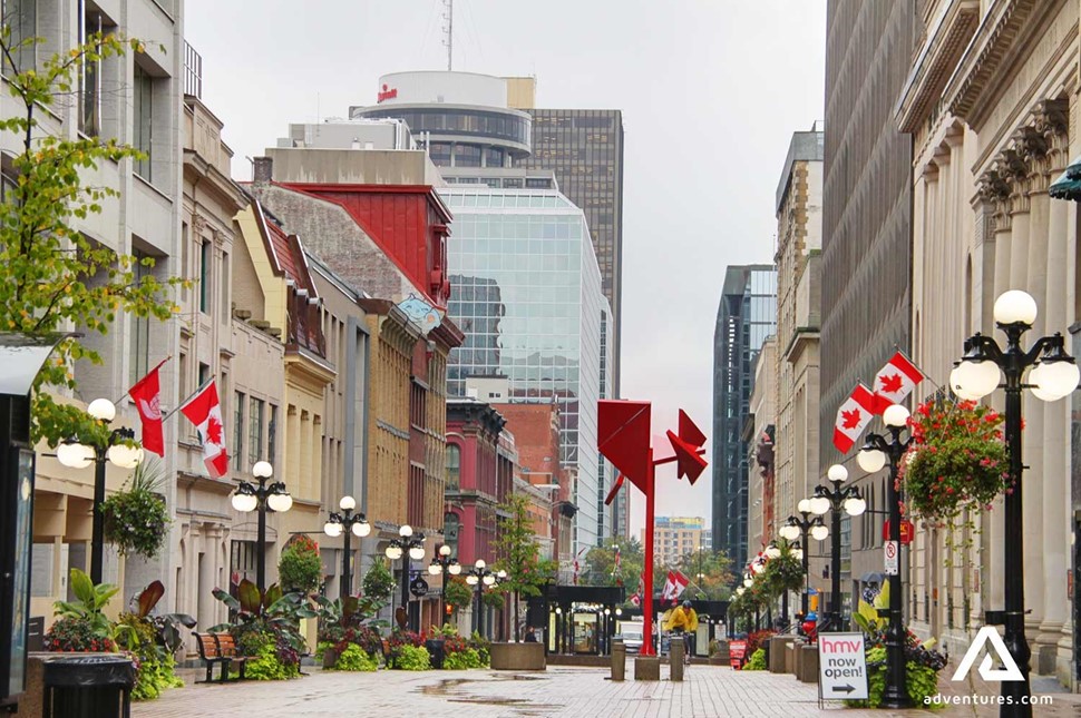 canadian flags on builds at a street in ottawa