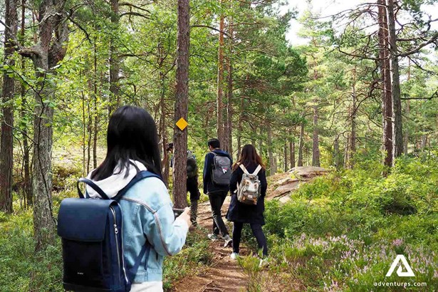 hiking the paths in porkkala area forest