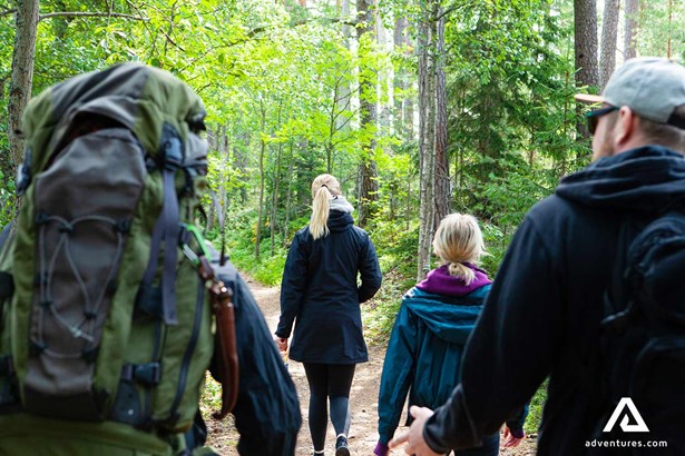 group hiking in a forest in liesjarvi national park