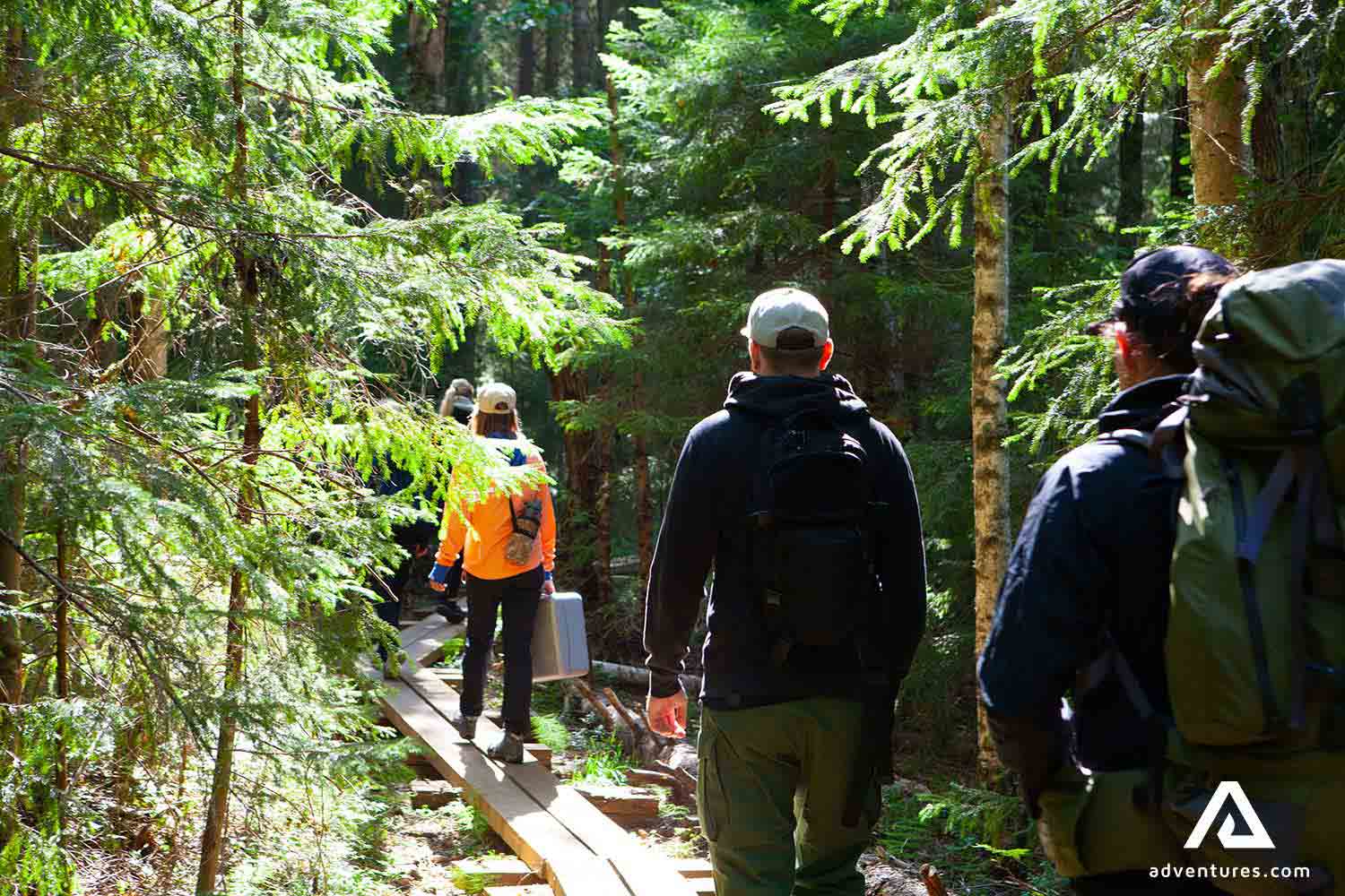 small group exploring liesjarvi national park