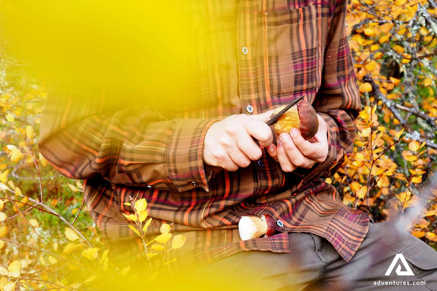 cleaning wild mushrooms with a knife in finland