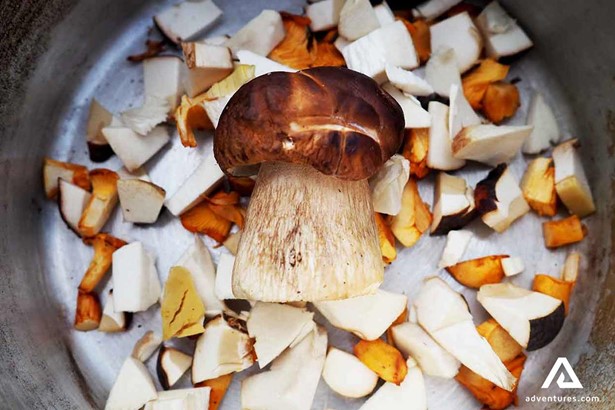 diced mushrooms in a bucekt