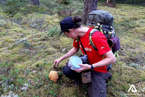 picking up mushroom in finland from a mossy area