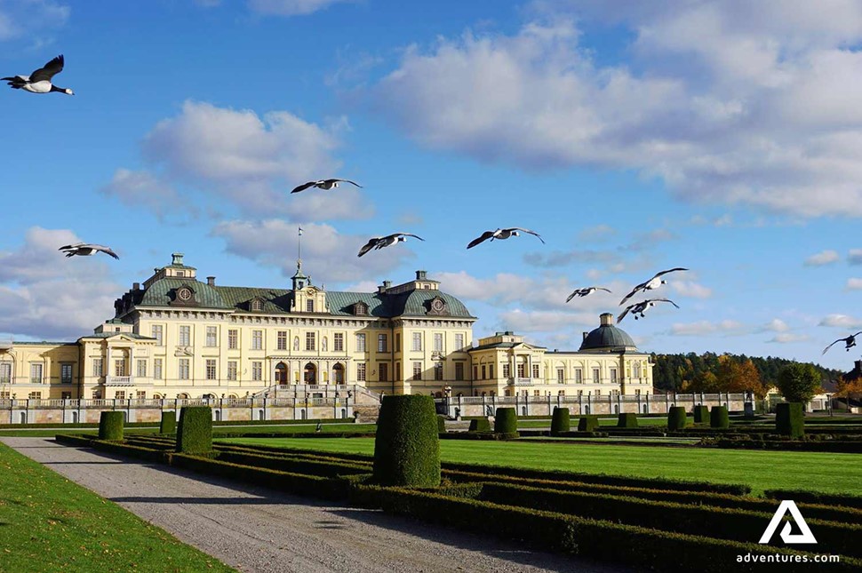 bird flying near Drottningholm Palace in sweden