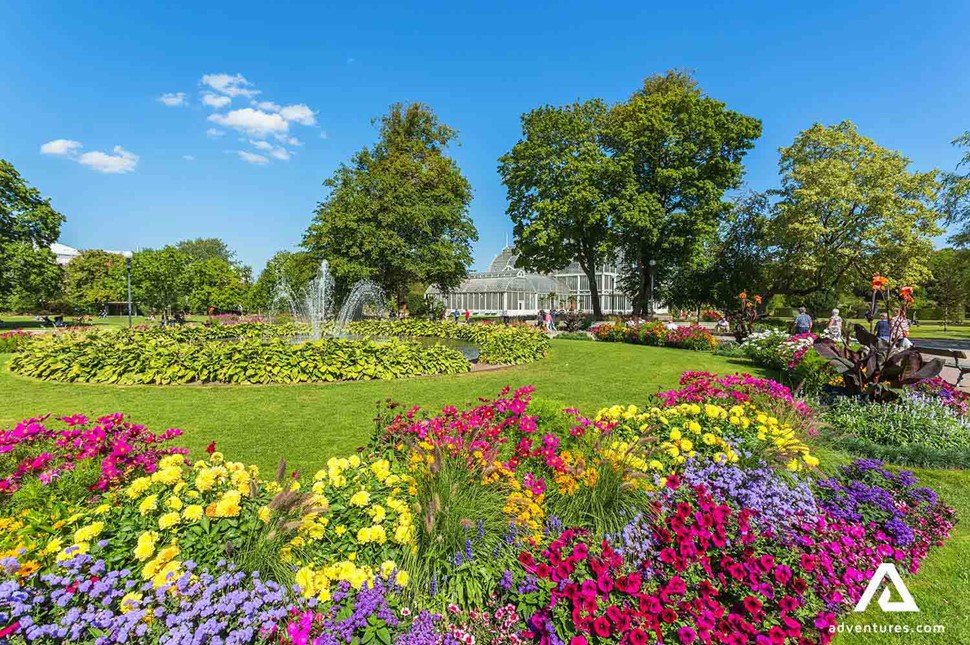 colourful flowers at gothernburg park in summer