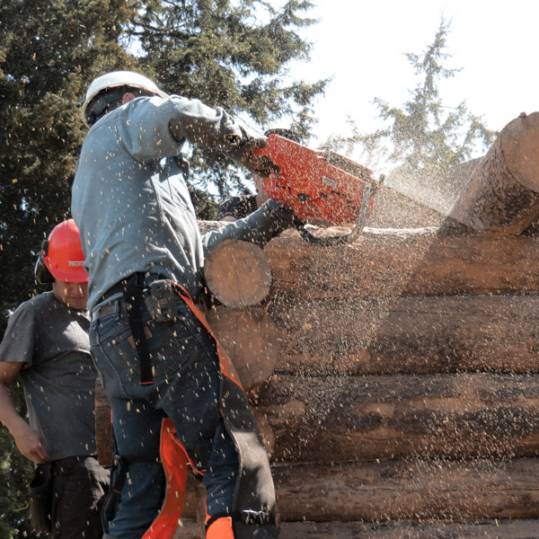 Building a Log Cabin in Canada