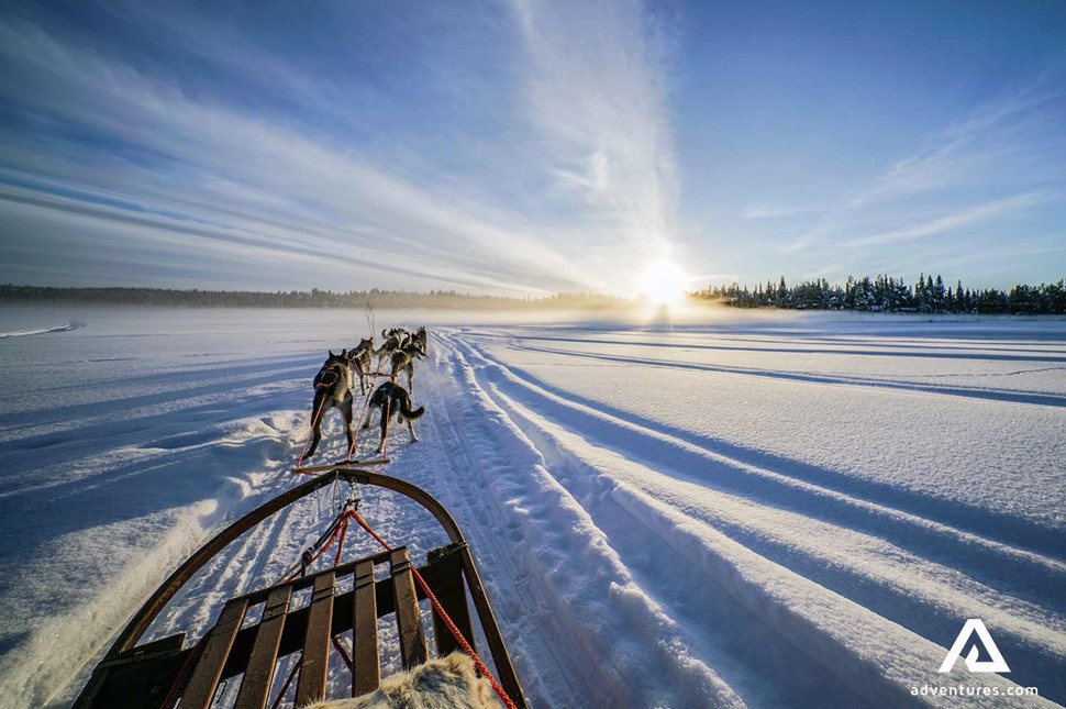first person view of dogsledding in winter