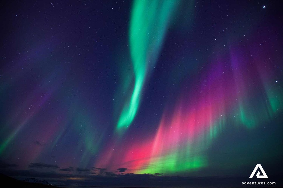 colourful green and purple northern lights in canadian night sky