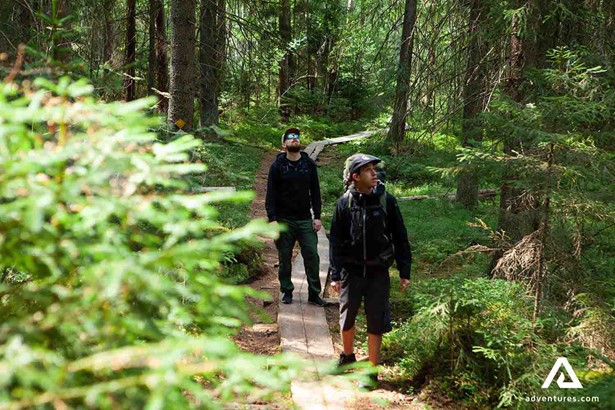 men walking around the forest in finland