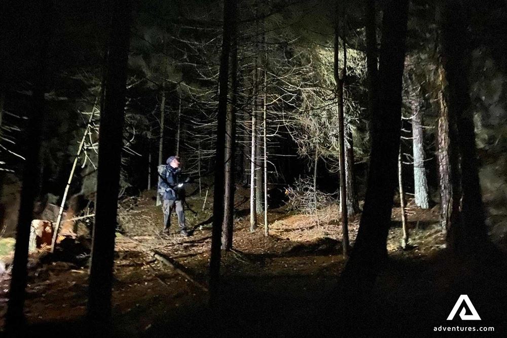 hiking in a forest at night