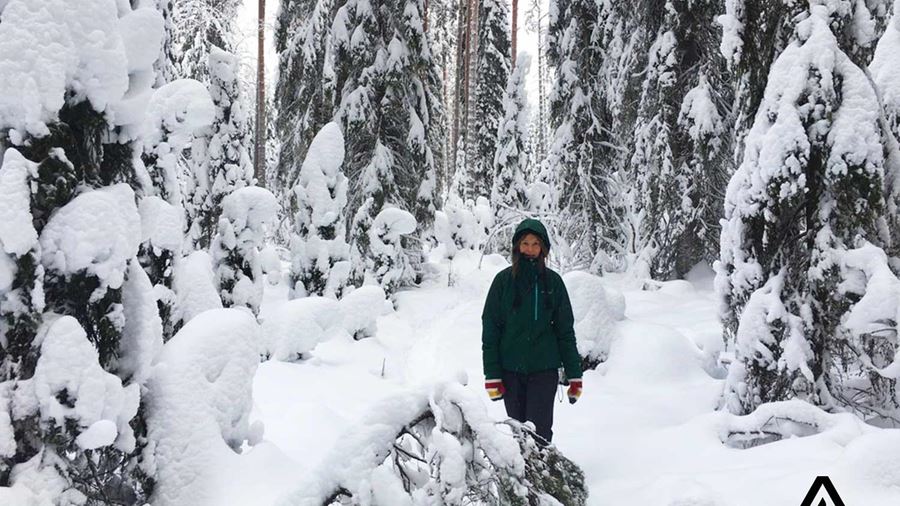 female hiker in a snowy forest